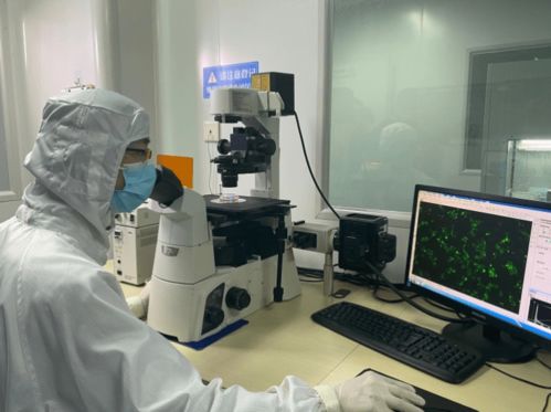 布局 西部氫谷 ,構(gòu)建創(chuàng)新體系 九龍坡要打造制造業(yè)高質(zhì)量發(fā)展示范區(qū)