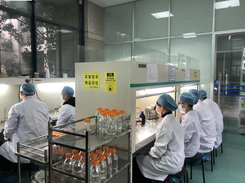 生物選考沖刺提分秘籍 高中生物實驗訓練營寒假開啟，助力未來生物基材料技術研發