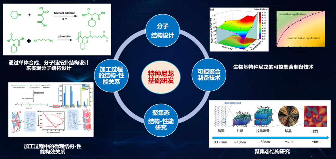 打破國際壟斷，書寫國產新材料新篇章 榕江實驗室生物基尼龍創新團隊榮獲省賽團體組三等獎